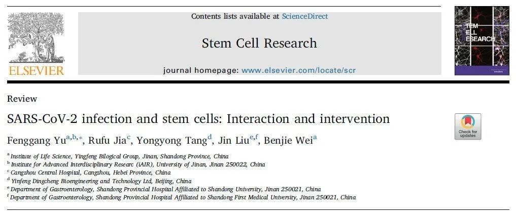 銀豐生物集團于鳳剛博士在國際期刊發表“新冠病毒感染和干細胞的相互作用及干預”文章